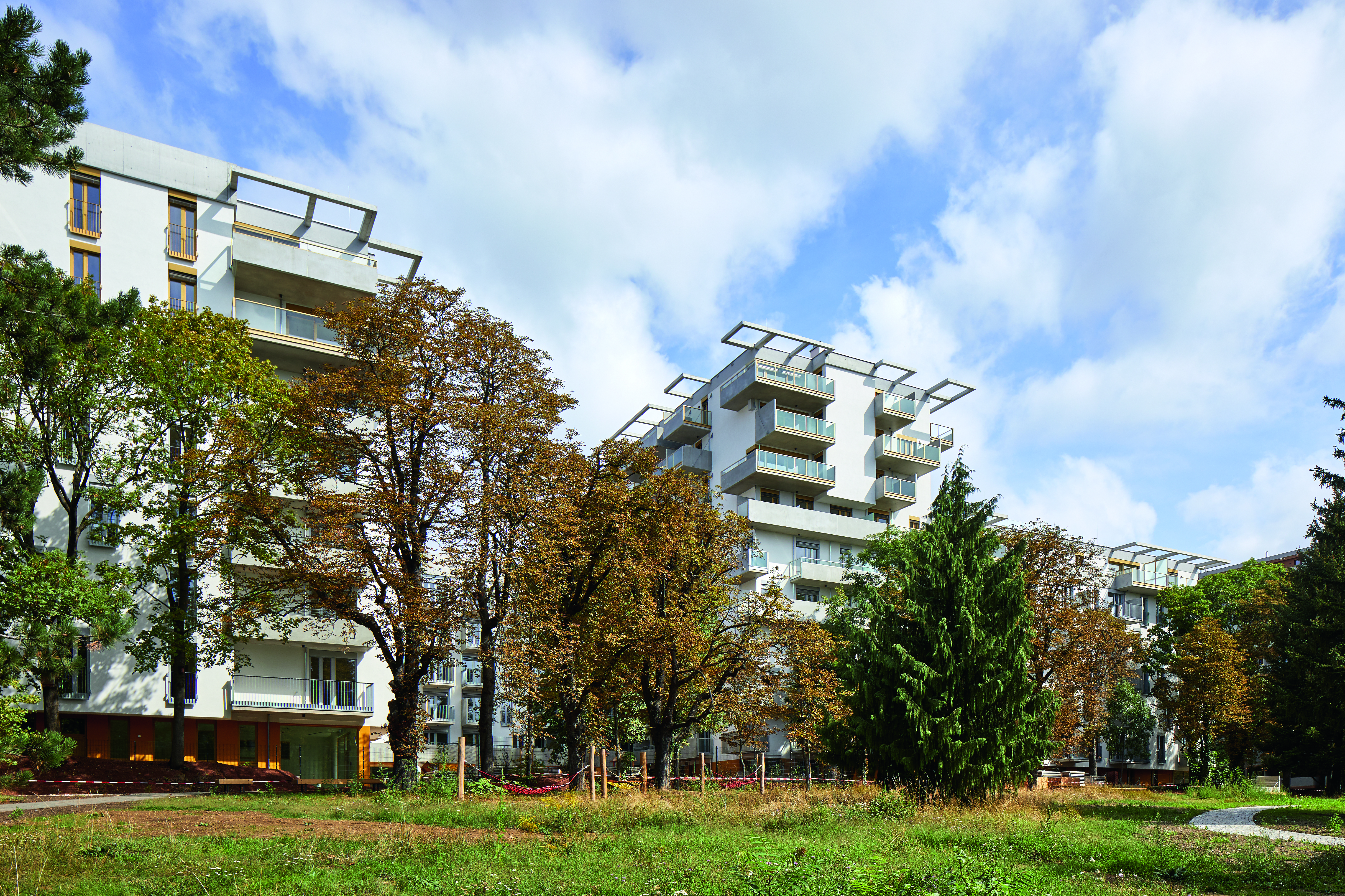 Wohnprojekt immo 360 grad gmbh - THEOs Spallartgasse 21 und 23, Hofansicht 1
