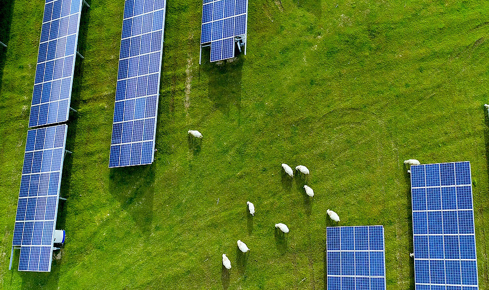 Agri-Photovoltaikanlage